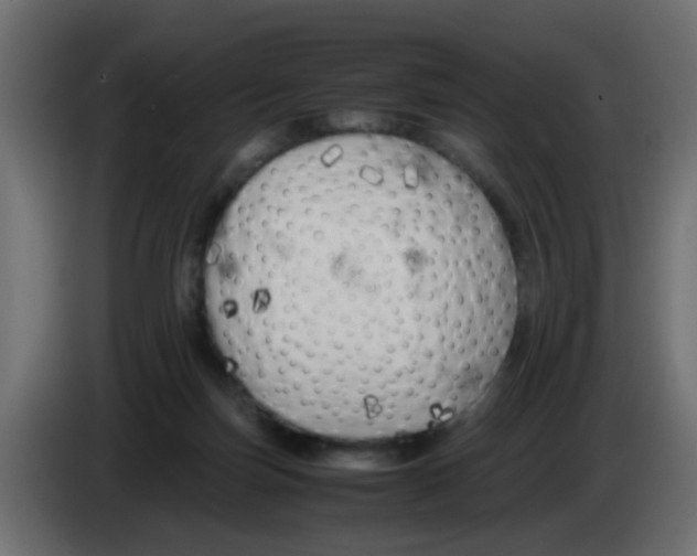 X0000083030171200703022034