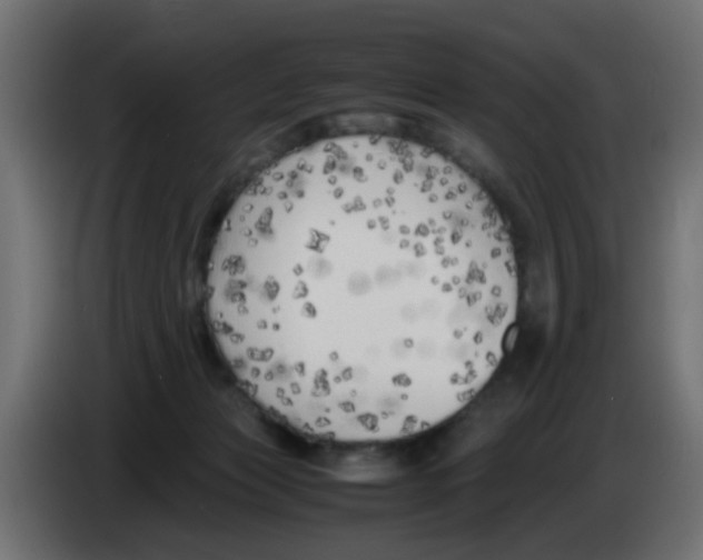 X0000083030173200703022034