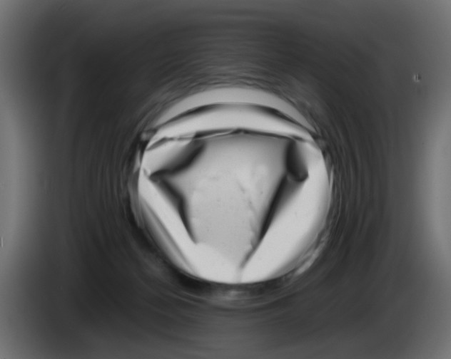 X0000083030174200703022034