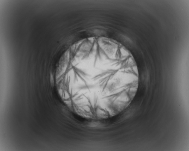 X0000083030177200703022034