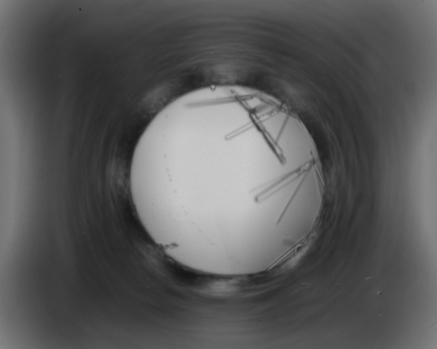 X0000083030178200703022034