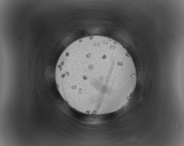 X0000083030179200703022034