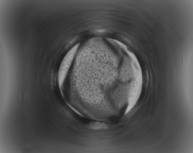 X0000083030180200703022034