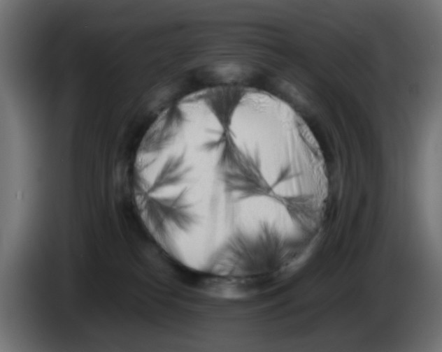 X0000083030182200703022034