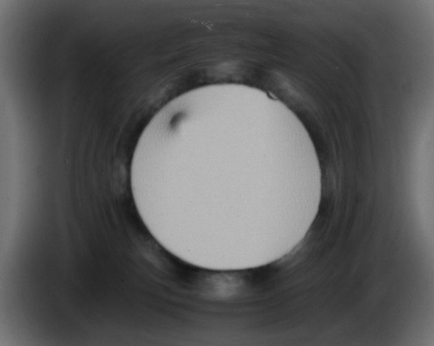 X0000083030183200703022034