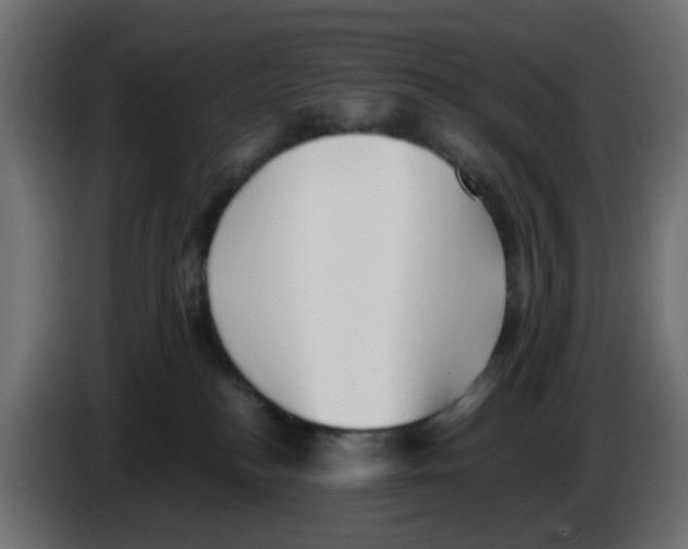 X0000083030184200703022034