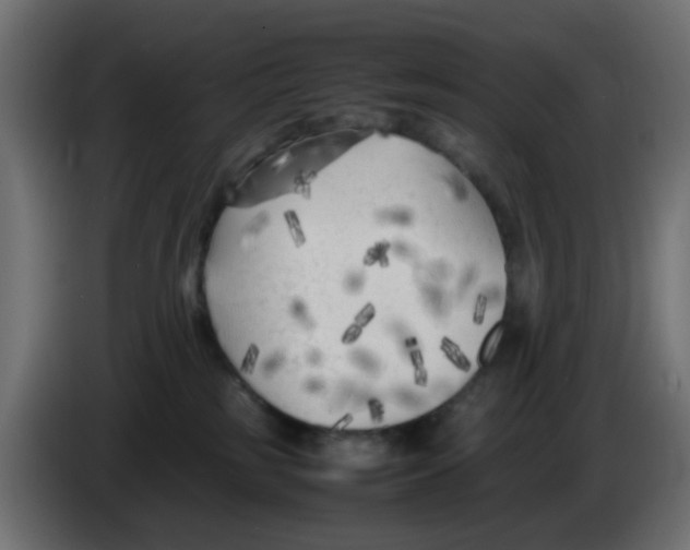 X0000083030185200703022034