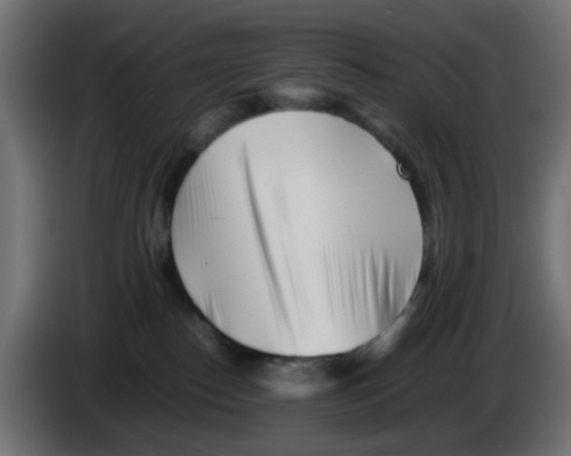 X0000083030186200703022034