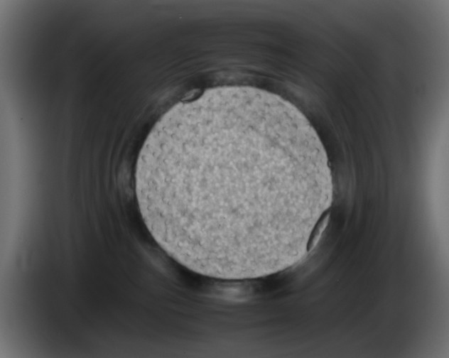 X0000083030187200703022034