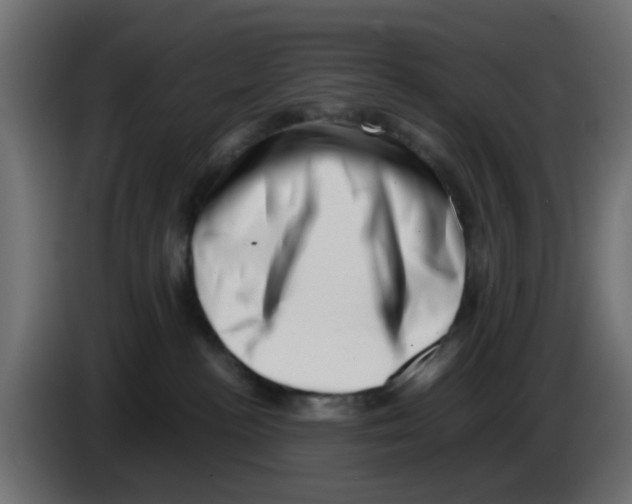 X0000083030188200703022034