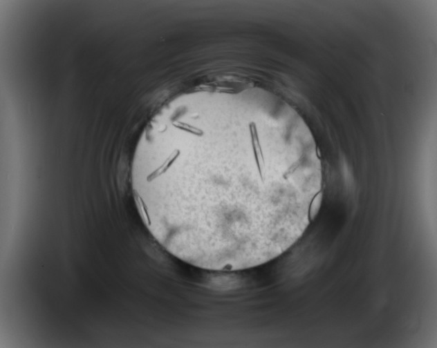 X0000083030189200703022034