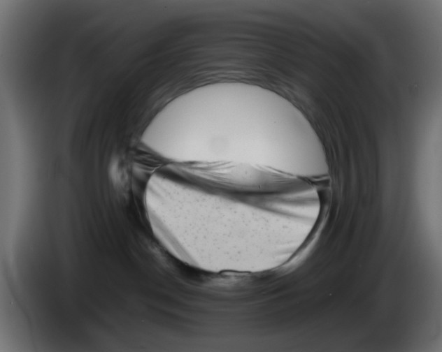 X0000083030190200703022034