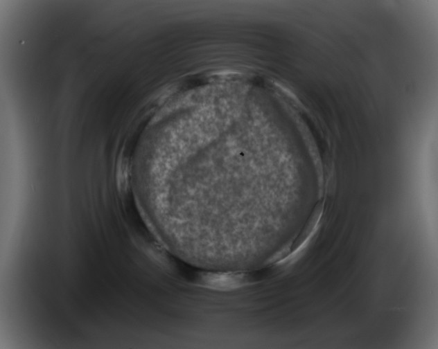 X0000083030191200703022034