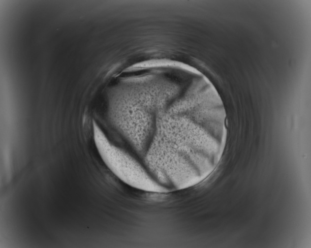 X0000083030192200703022034