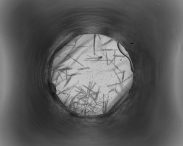 X0000083030194200703022034