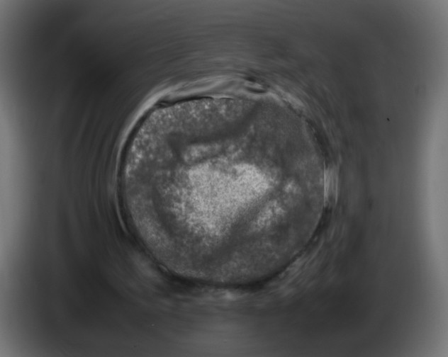 X0000083030195200703022034