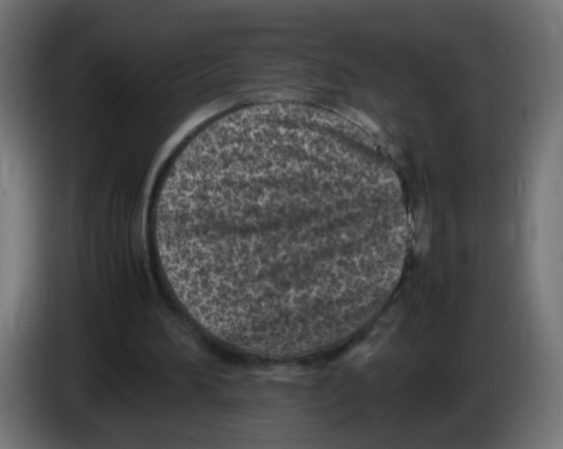 X0000083030196200703022034