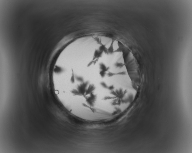 X0000083030198200703022034