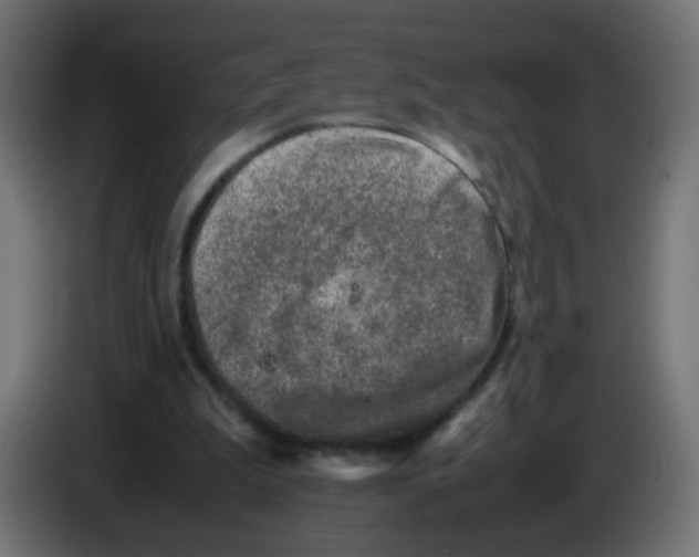 X0000083030199200703022034