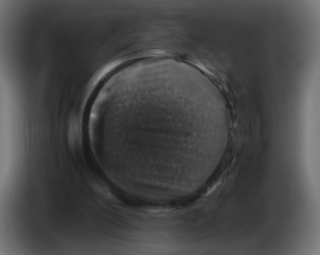 X0000083030200200703022034