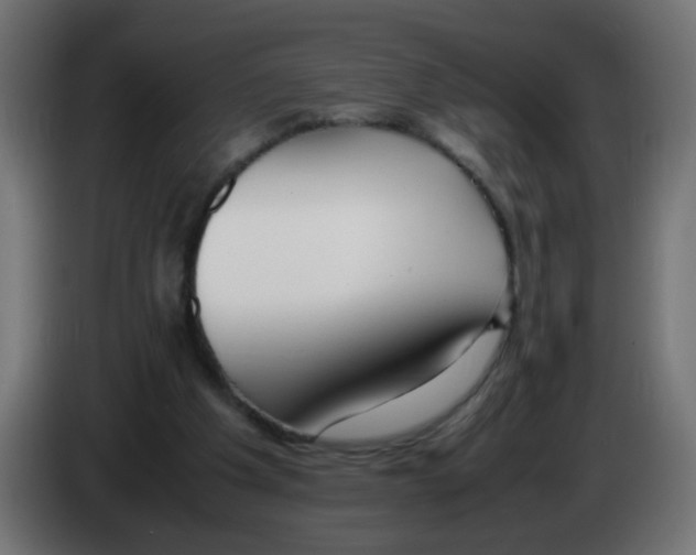 X0000083030201200703022034