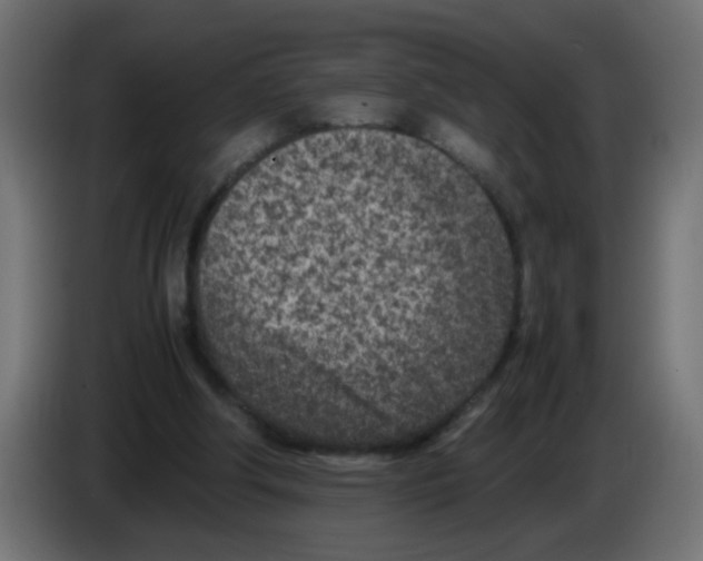 X0000083030202200703022034