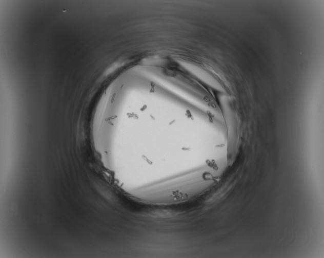 X0000083030203200703022034