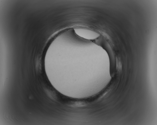 X0000083030204200703022034