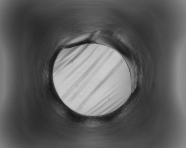 X0000083030207200703022033