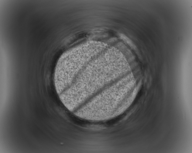 X0000083030209200703022033