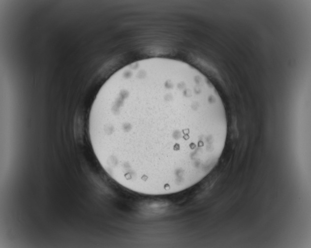 X0000083030210200703022033