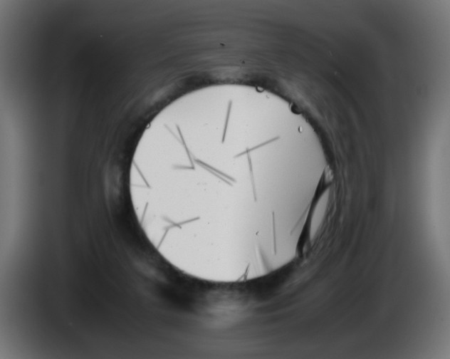 X0000083030211200703022033