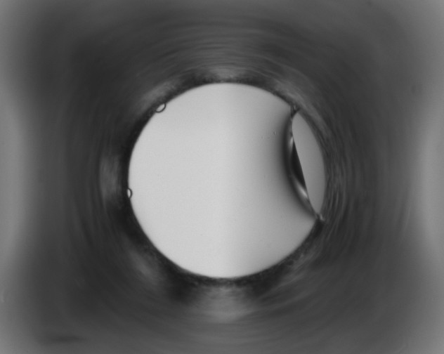 X0000083030212200703022033