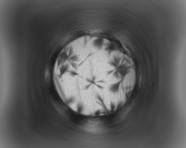 X0000083030214200703022033