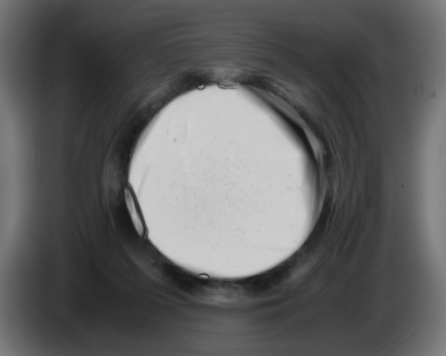 X0000083030215200703022033