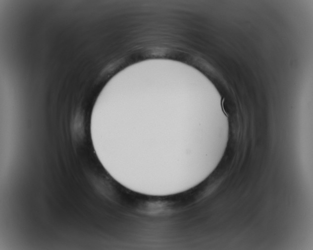 X0000083030216200703022033