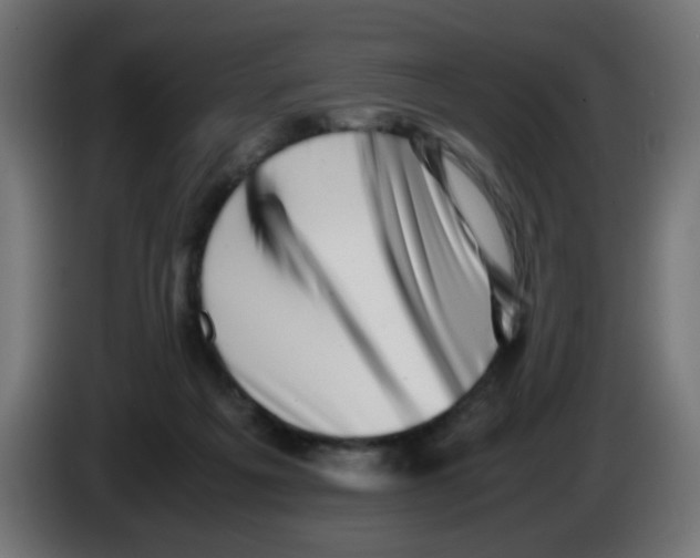 X0000083030217200703022033