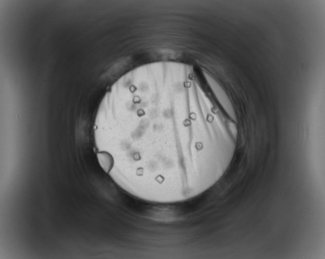 X0000083030218200703022033