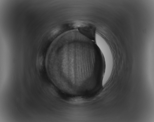 X0000083030219200703022033