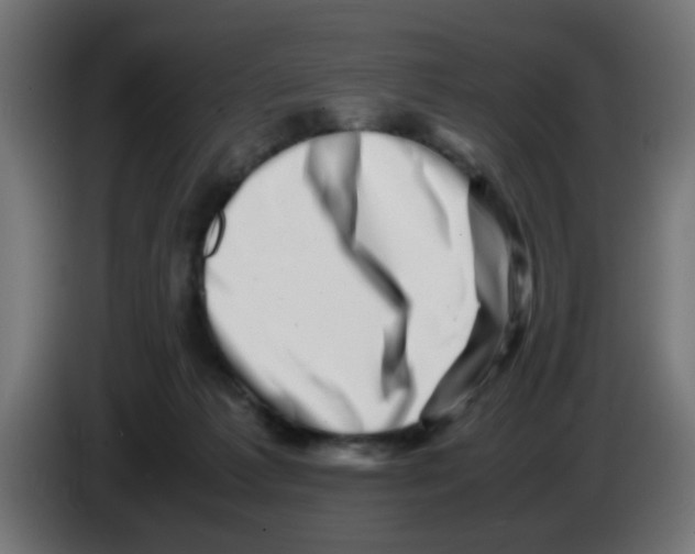 X0000083030221200703022033