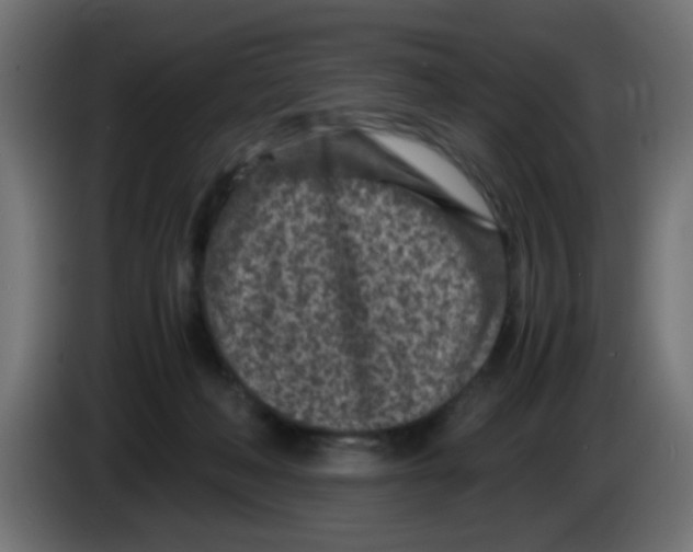 X0000083030222200703022033