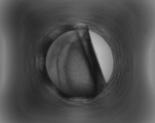 X0000083030223200703022033