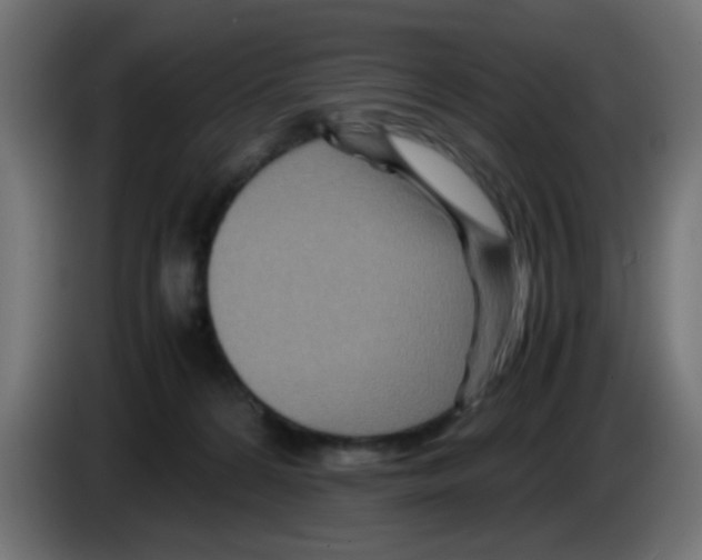 X0000083030224200703022033