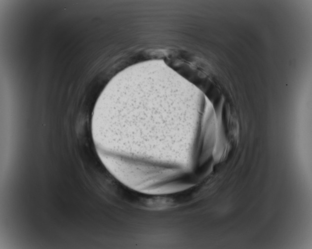 X0000083030225200703022033