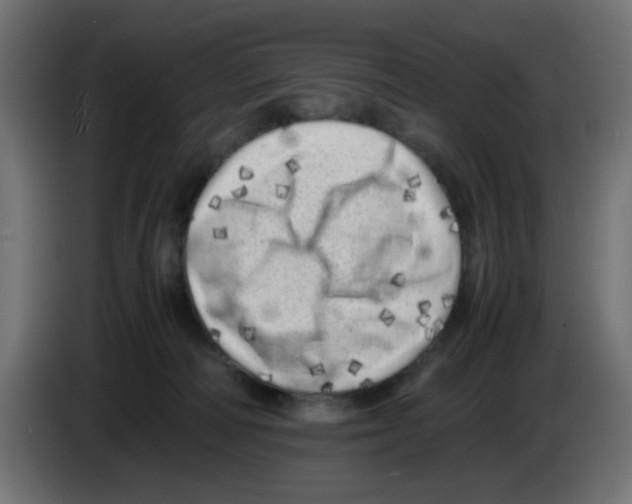 X0000083030226200703022033