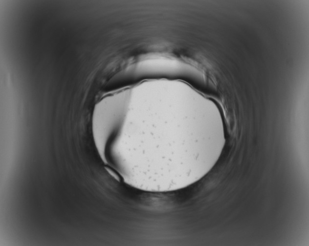 X0000083030229200703022033