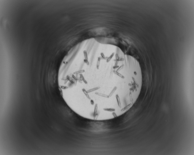 X0000083030230200703022033