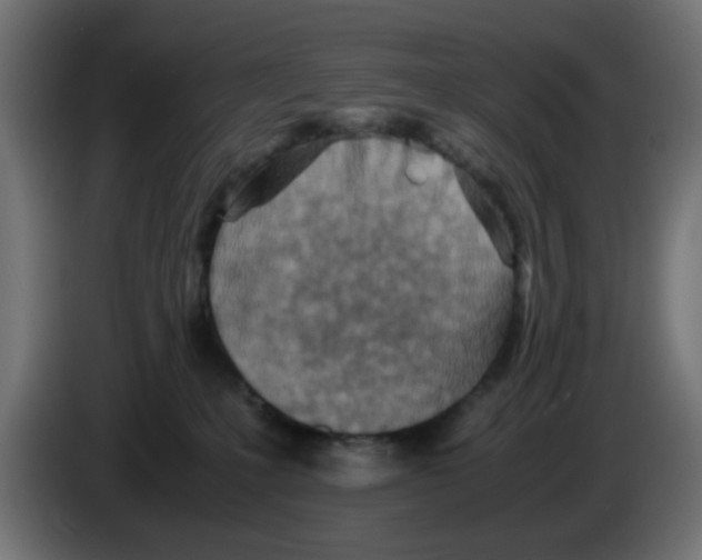 X0000083030231200703022033