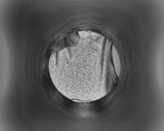 X0000083030233200703022033