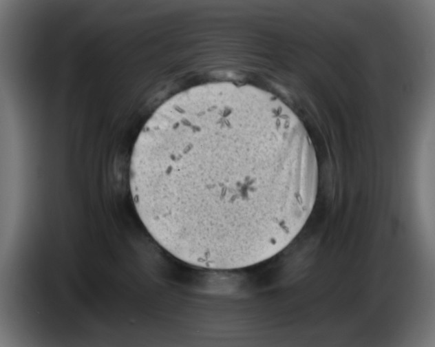 X0000083030234200703022033